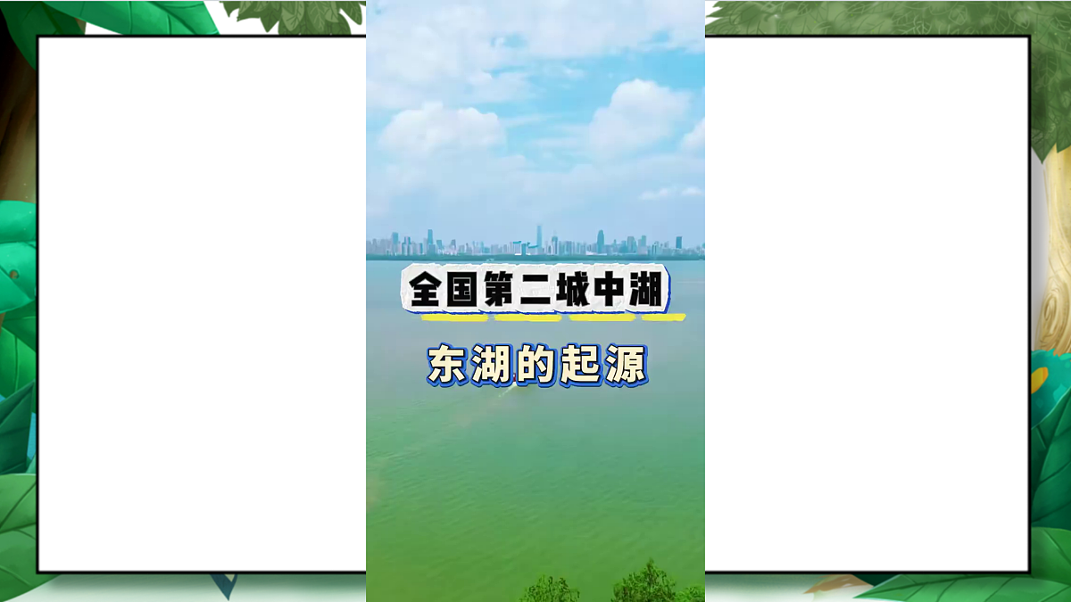 3.7《分析一个实际的环境问题——城中湖生态修复》教学课件第3页