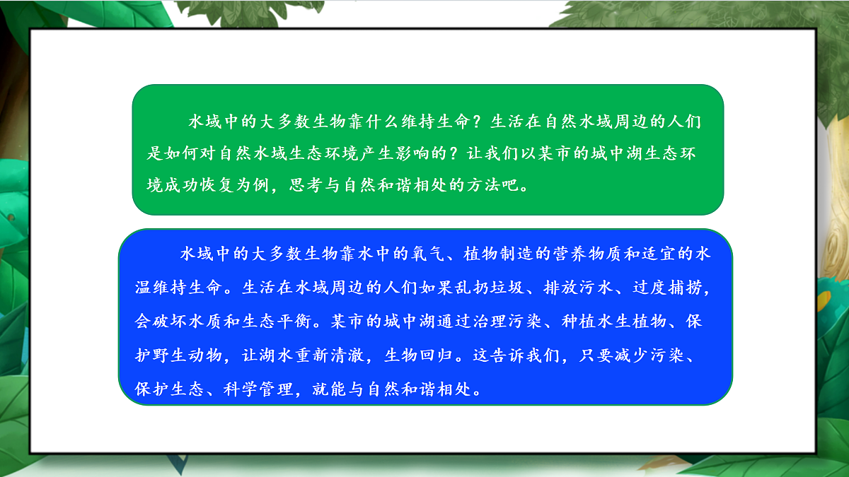 3.7《分析一个实际的环境问题——城中湖生态修复》教学课件第4页
