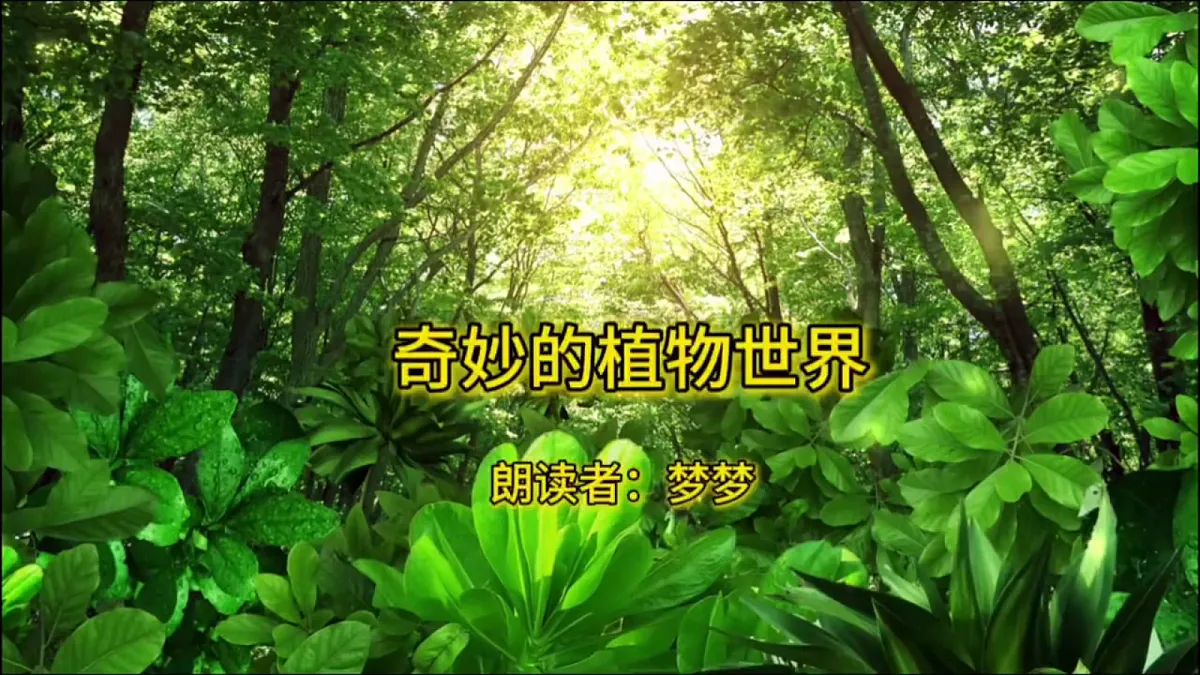 2.3《形形色色的植物》教学课件第3页