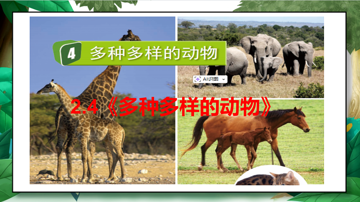 2.4《多种多样的动物》教学课件第2页