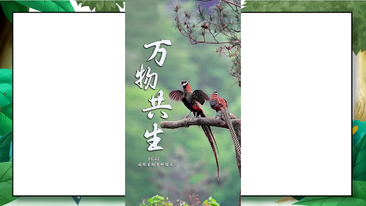2.4《多种多样的动物》教学课件第3页