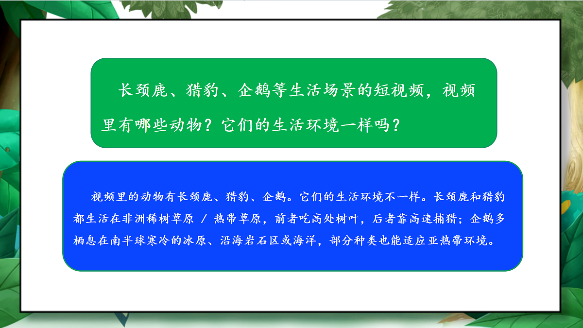 2.4《多种多样的动物》教学课件第4页