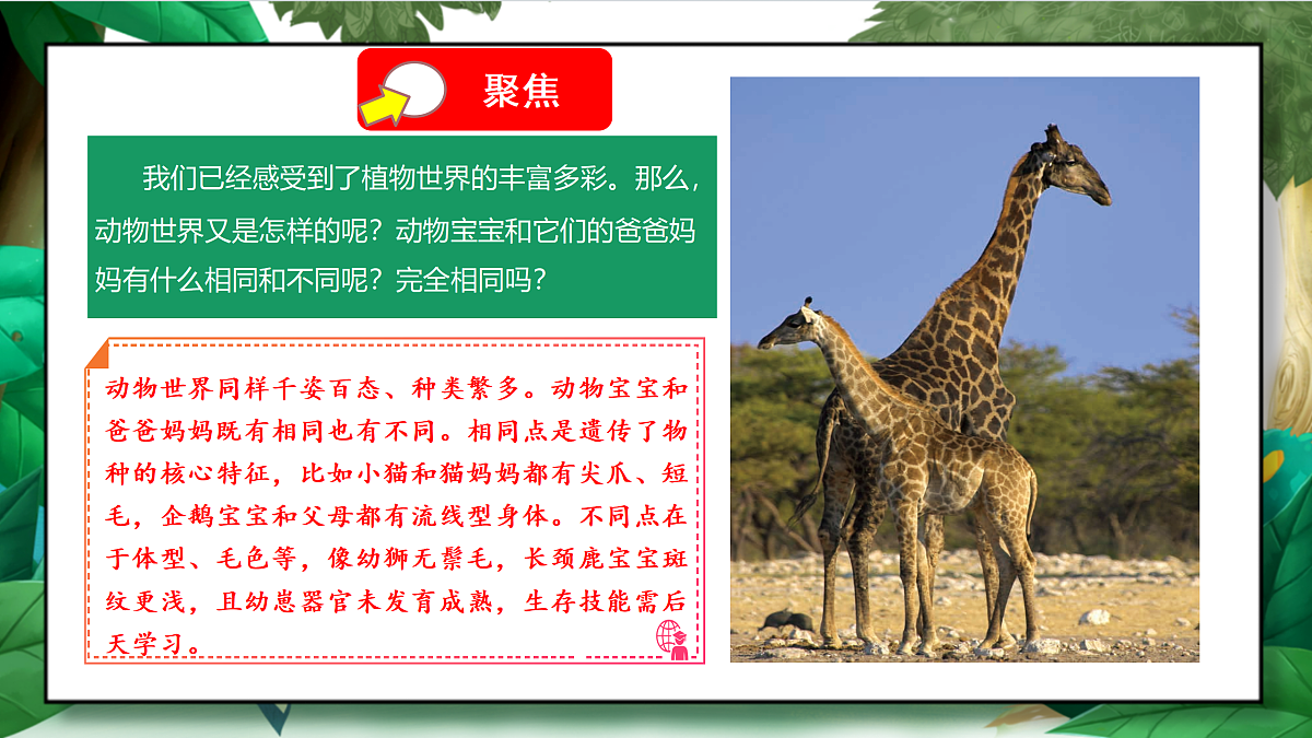 2.4《多种多样的动物》教学课件第5页