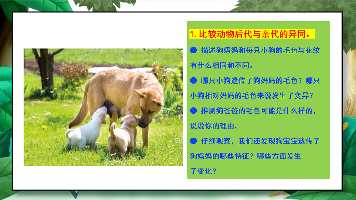 2.4《多种多样的动物》教学课件第6页
