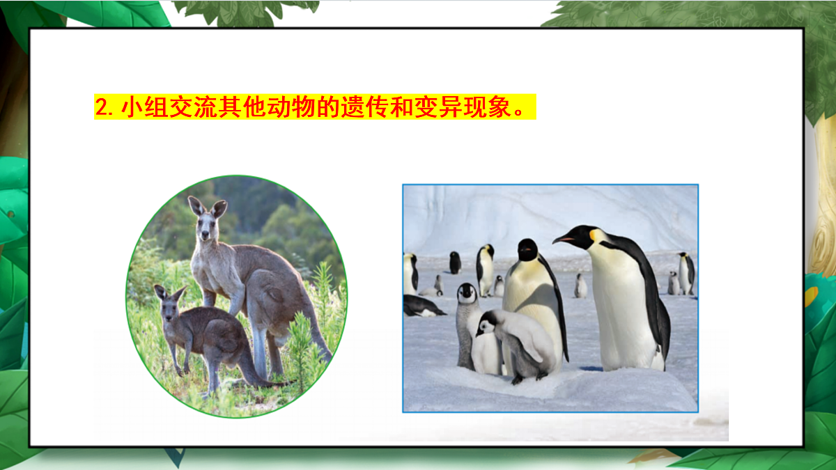 2.4《多种多样的动物》教学课件第8页