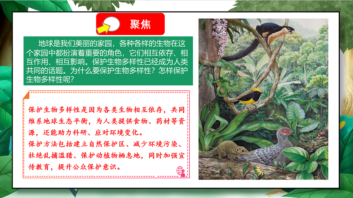 2.7《保护生物多样性》教学课件第5页