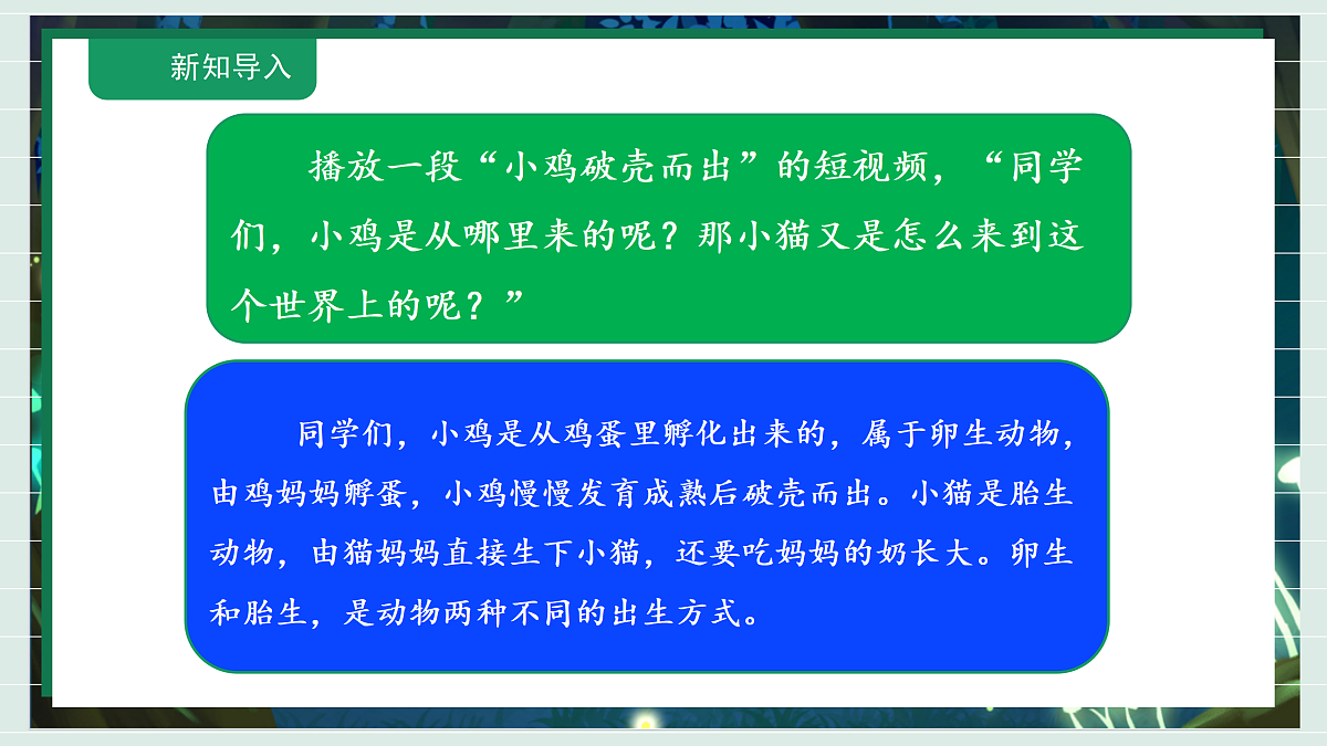 2.2《动物的繁殖》教学课件科学教科版三年级下册(新教材)第4页