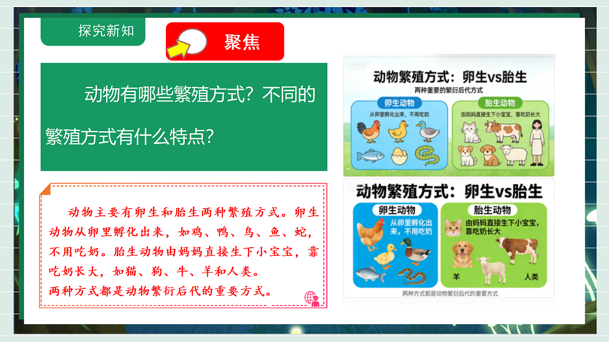 2.2《动物的繁殖》教学课件科学教科版三年级下册(新教材)第5页