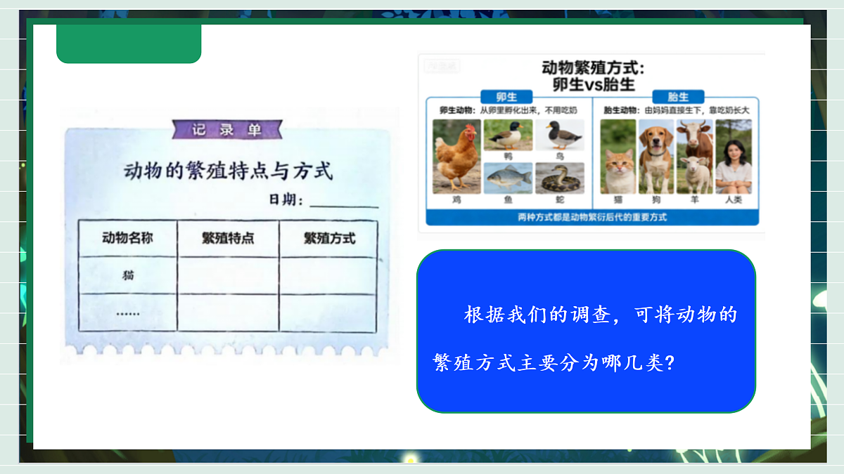 2.2《动物的繁殖》教学课件科学教科版三年级下册(新教材)第8页
