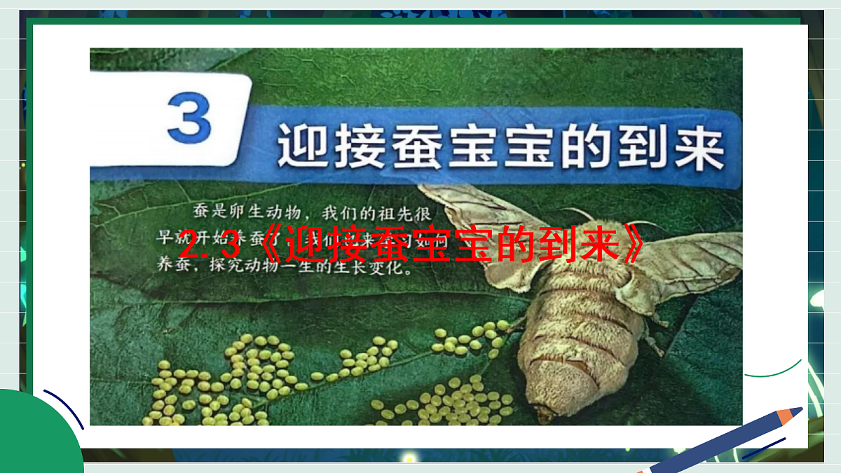 2.3《迎接蚕宝宝的到来》教学课件科学教科版三年级下册(新教材)第2页