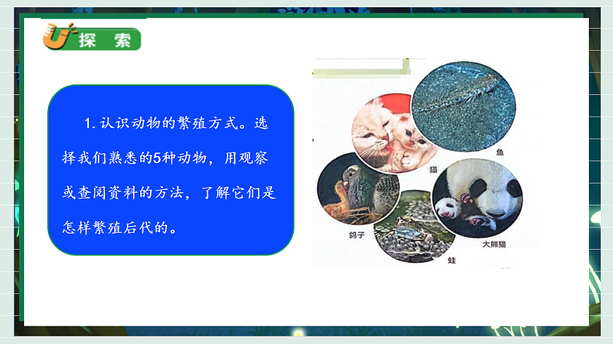 2.3《迎接蚕宝宝的到来》教学课件科学教科版三年级下册(新教材)第6页