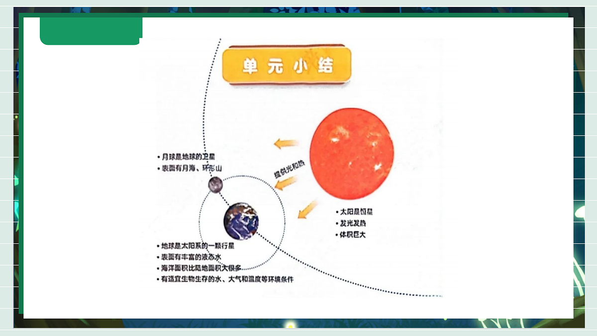 3.9《单元小结3》教学课件科学教科版三年级下册(新教材)第6页