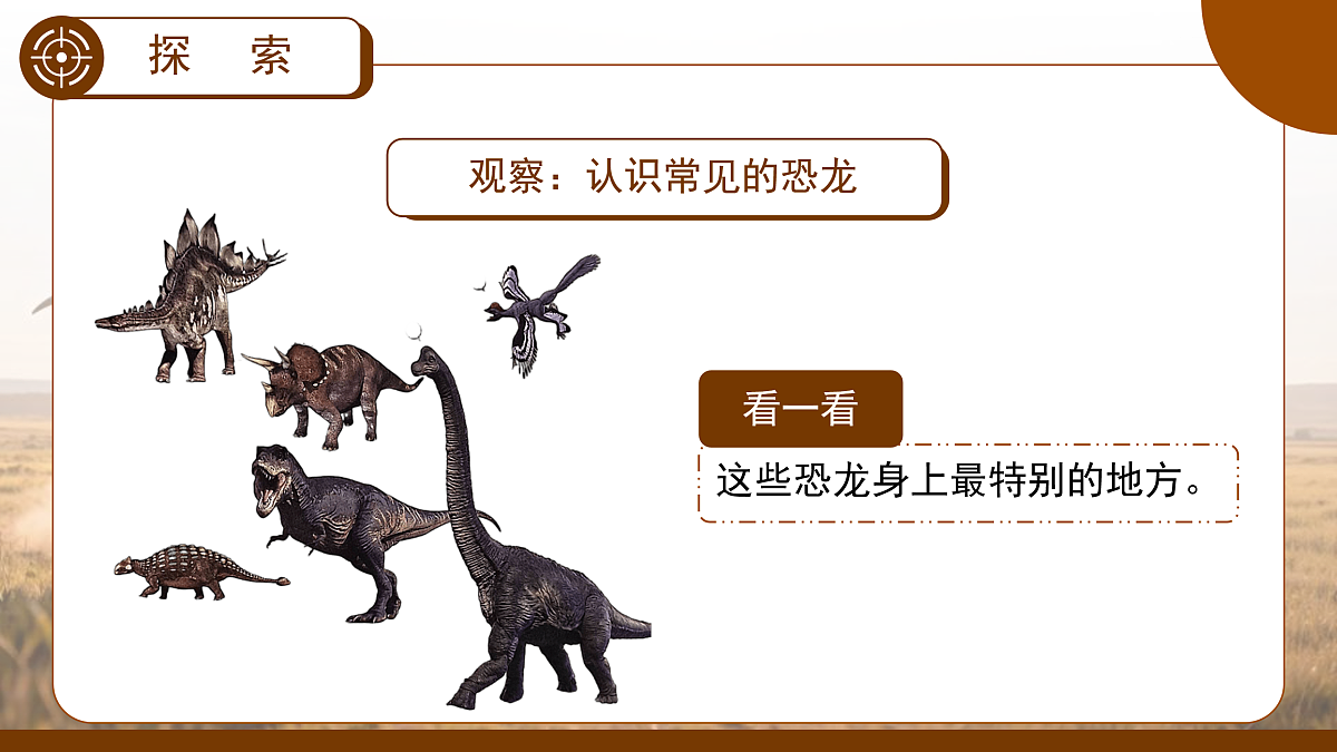 18025517第5页