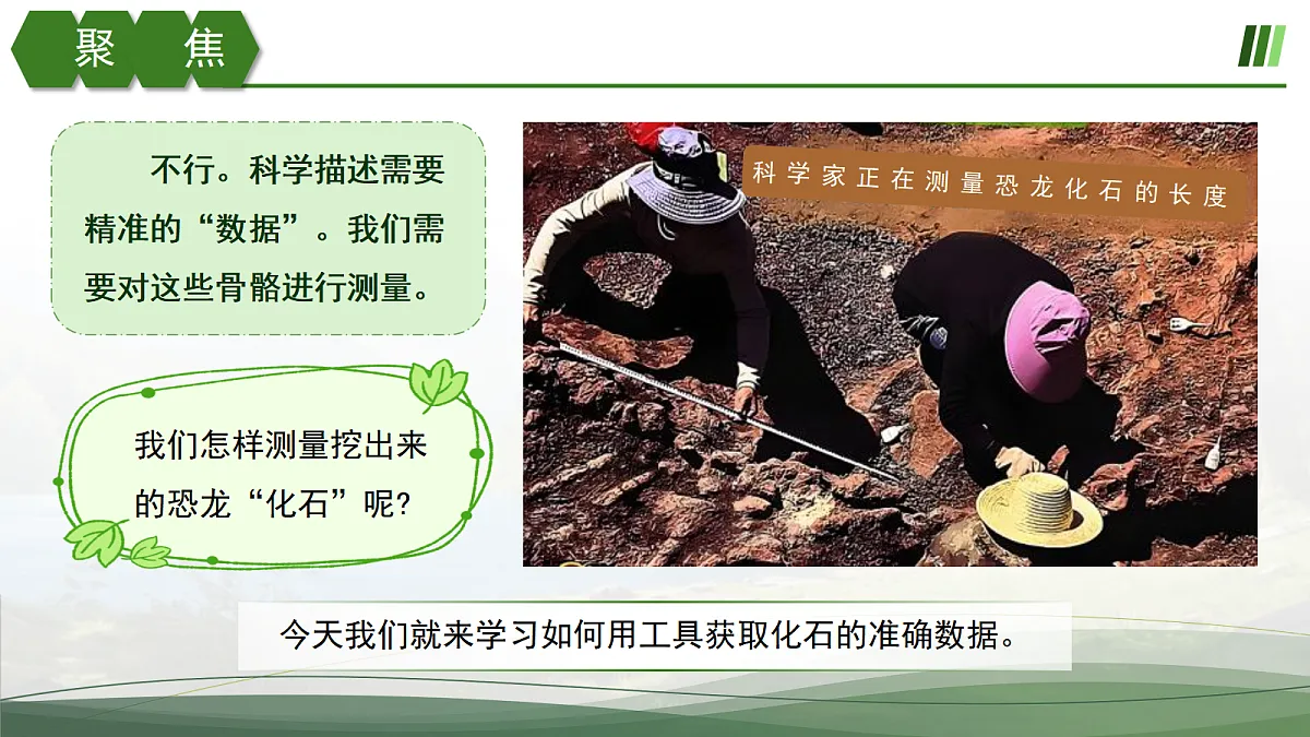 18025518第5页
