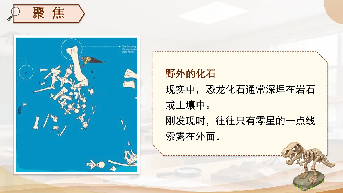 18025519第5页