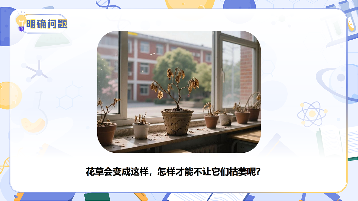 4.21 制作简易滴灌器(教学课件)(新教材)第6页