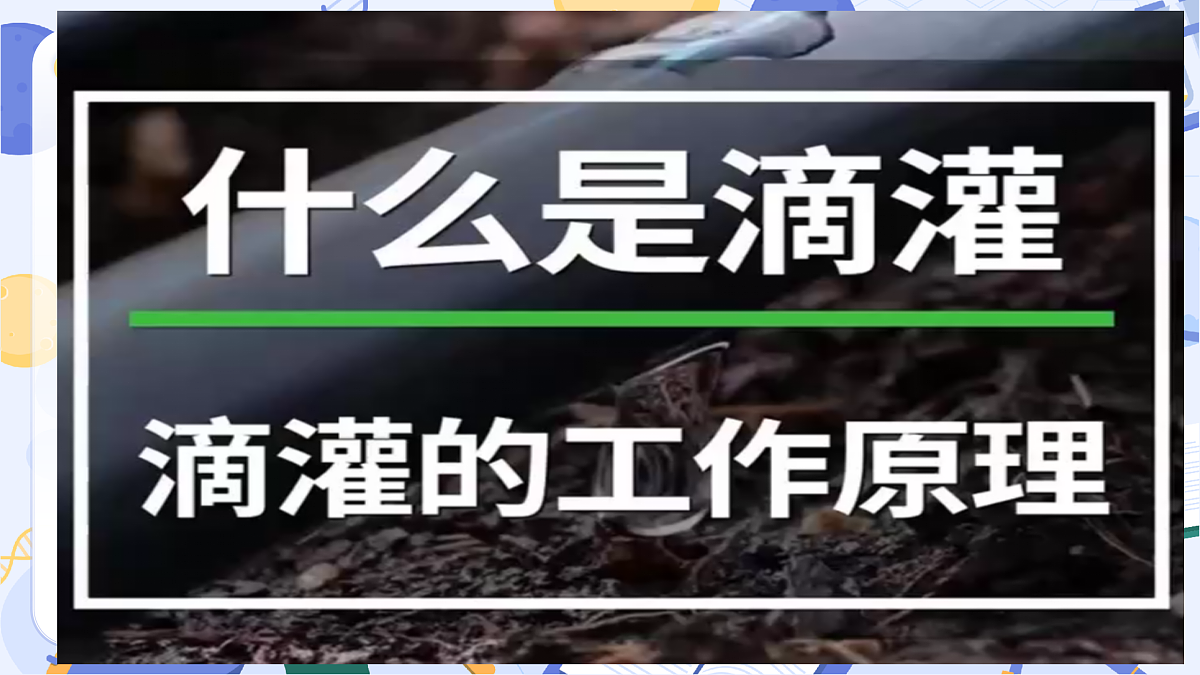 4.21 制作简易滴灌器(教学课件)(新教材)第7页