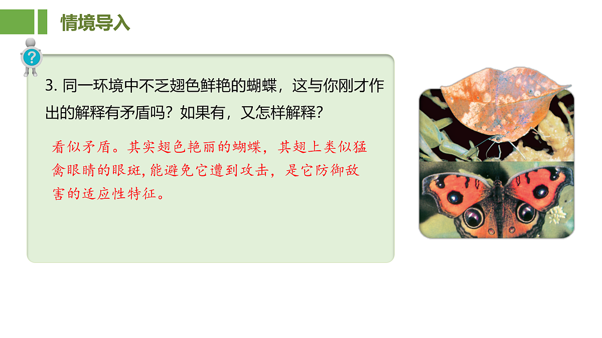 18026216第5页