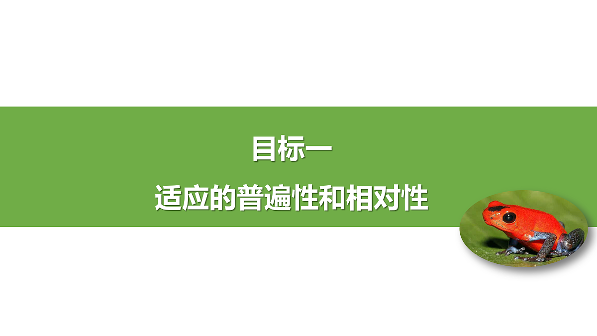 18026216第6页