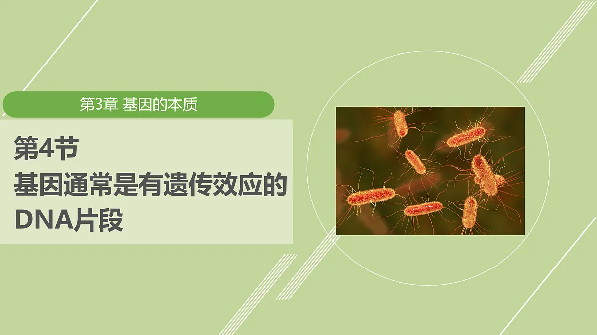 18026220第1页