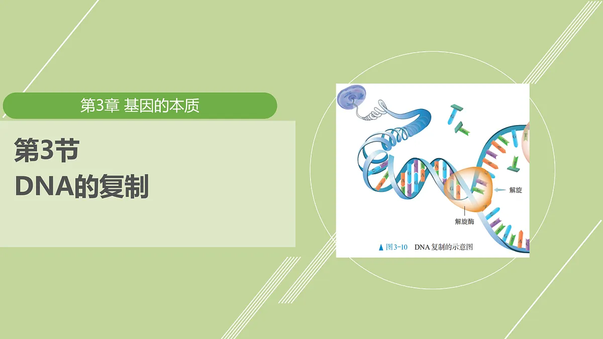 18026221第1页