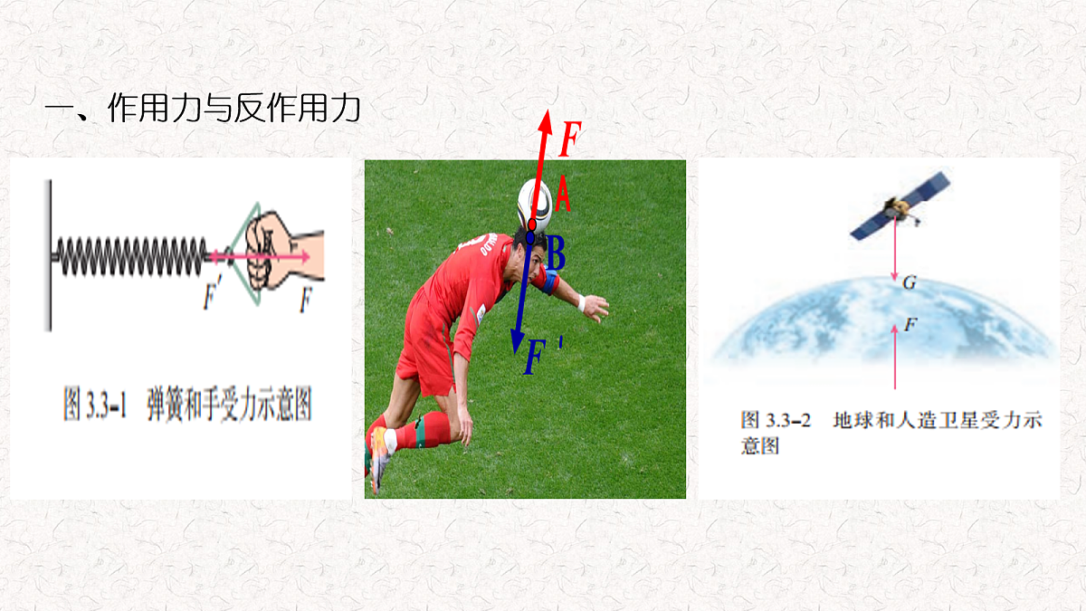 18026405第3页