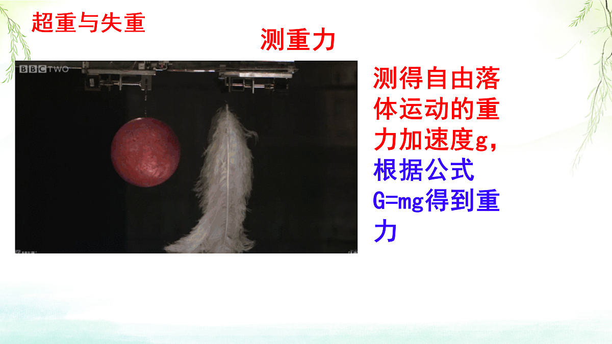 18026429第3页