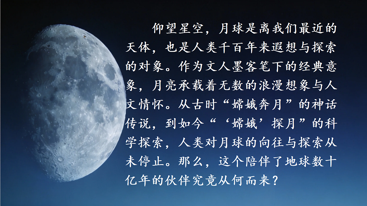 18028016第2页