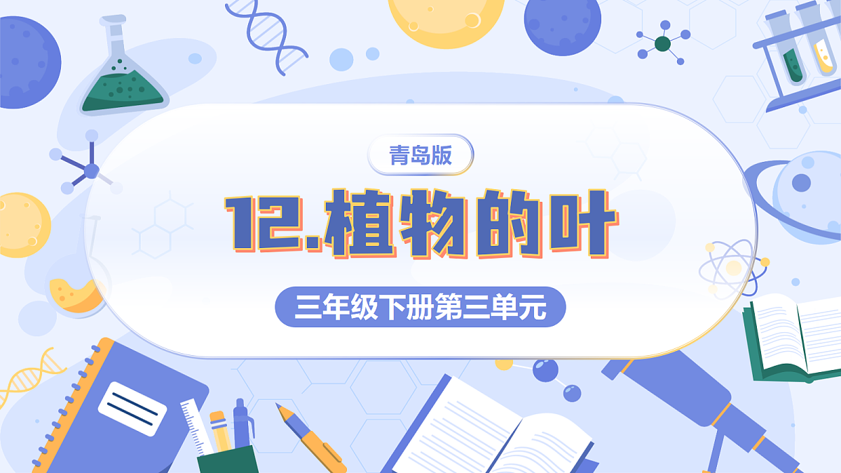 3.12 植物的叶(教学课件)(AI增强)(新教材)第1页