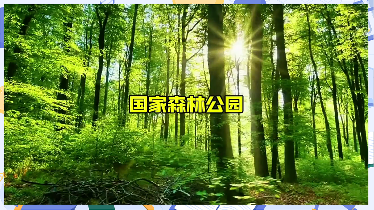 3.12 植物的叶(教学课件)(AI增强)(新教材)第5页
