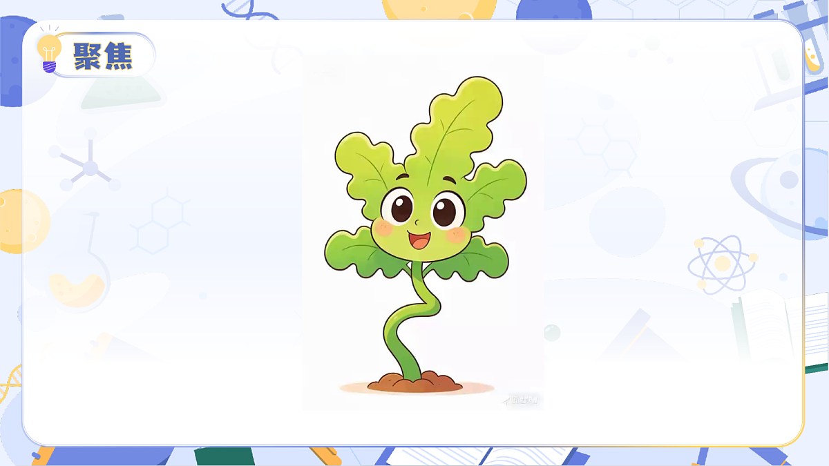 3.12 植物的叶(教学课件)(AI增强)(新教材)第6页