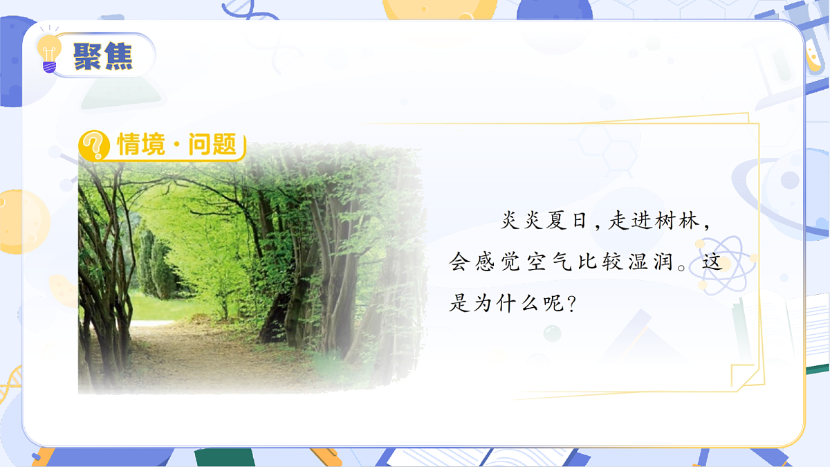 3.12 植物的叶(教学课件)(AI增强)(新教材)第7页