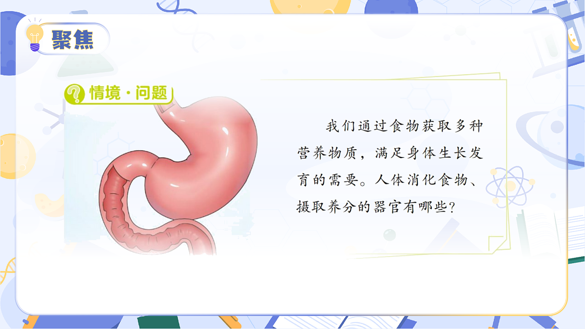 1.1 我们的消化器官(教学课件)(新教材)第6页