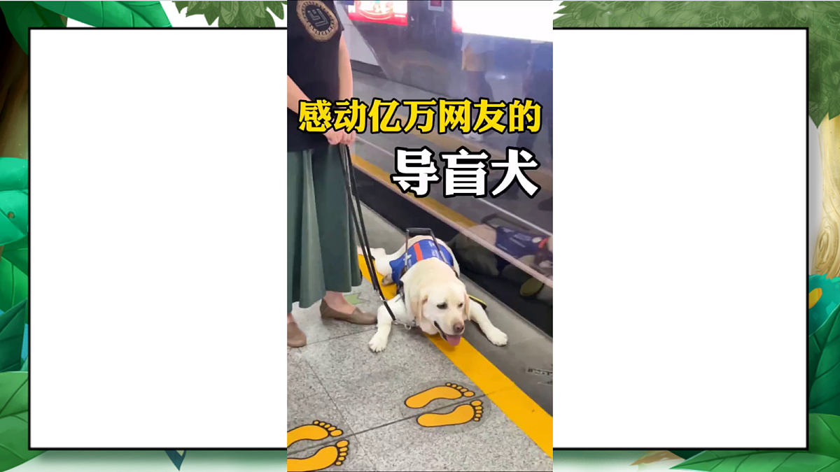 2.7《单元小结2》教学课件第3页