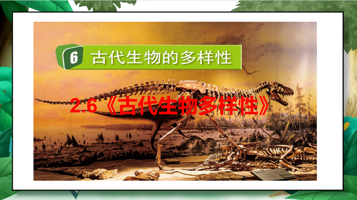 2.6《古代生物多样性》教学课件第2页