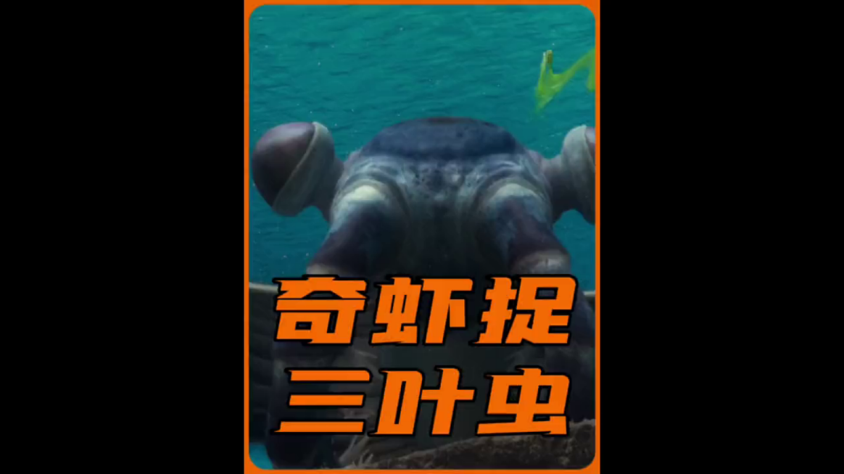 2.6《古代生物多样性》教学课件第3页
