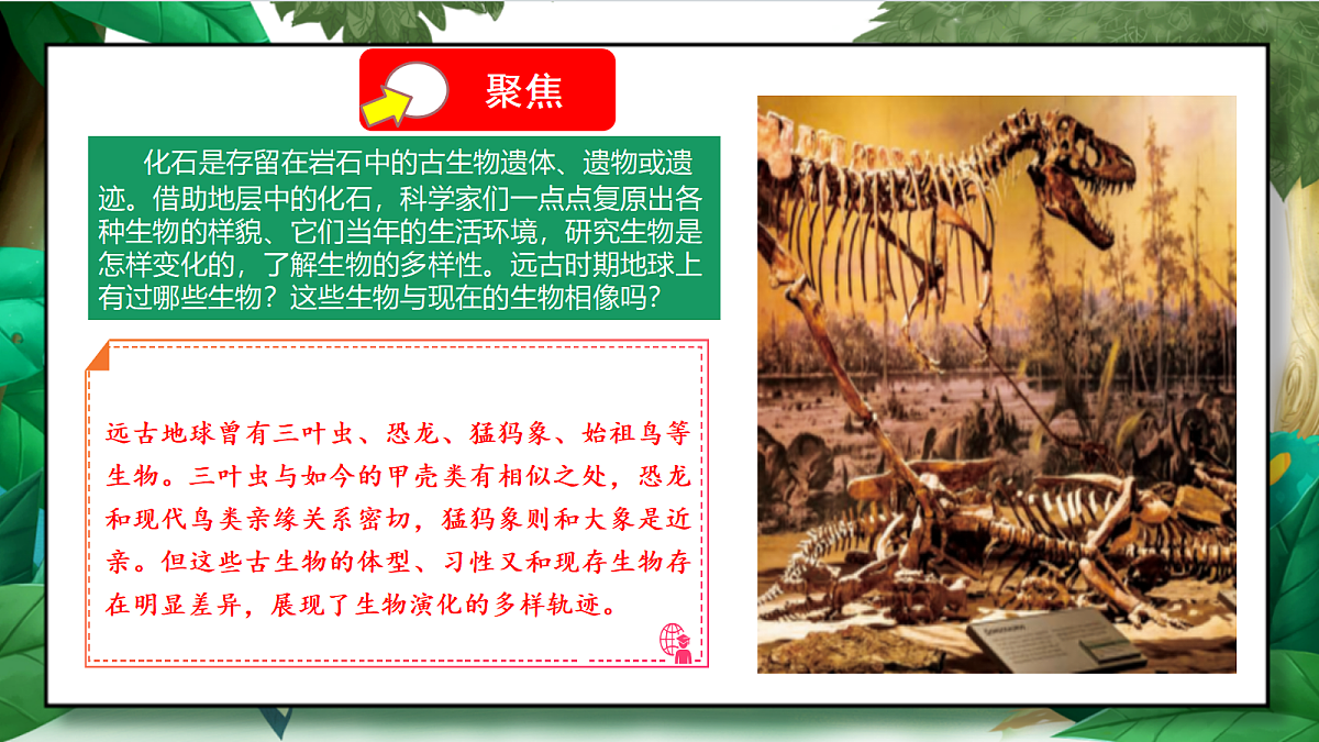 2.6《古代生物多样性》教学课件第5页