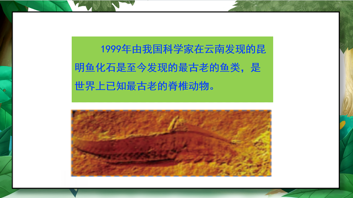 2.6《古代生物多样性》教学课件第7页