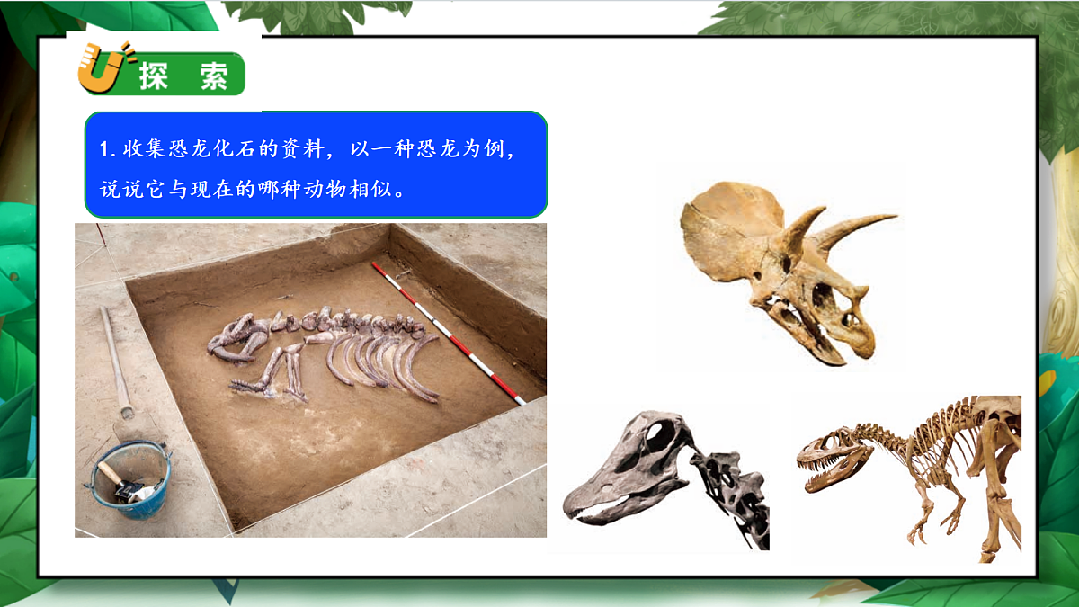 2.6《古代生物多样性》教学课件第8页