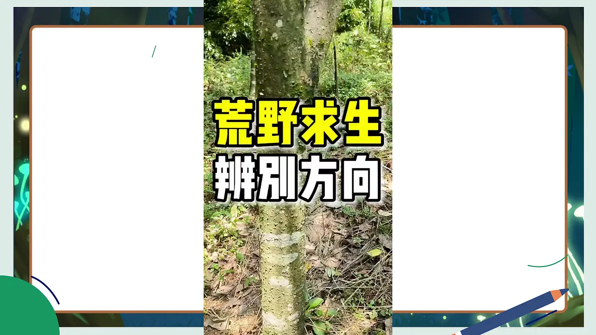 1.2《利用自然物精准辨别方向》教学课件科学教科版三年级下册(新教材)第3页
