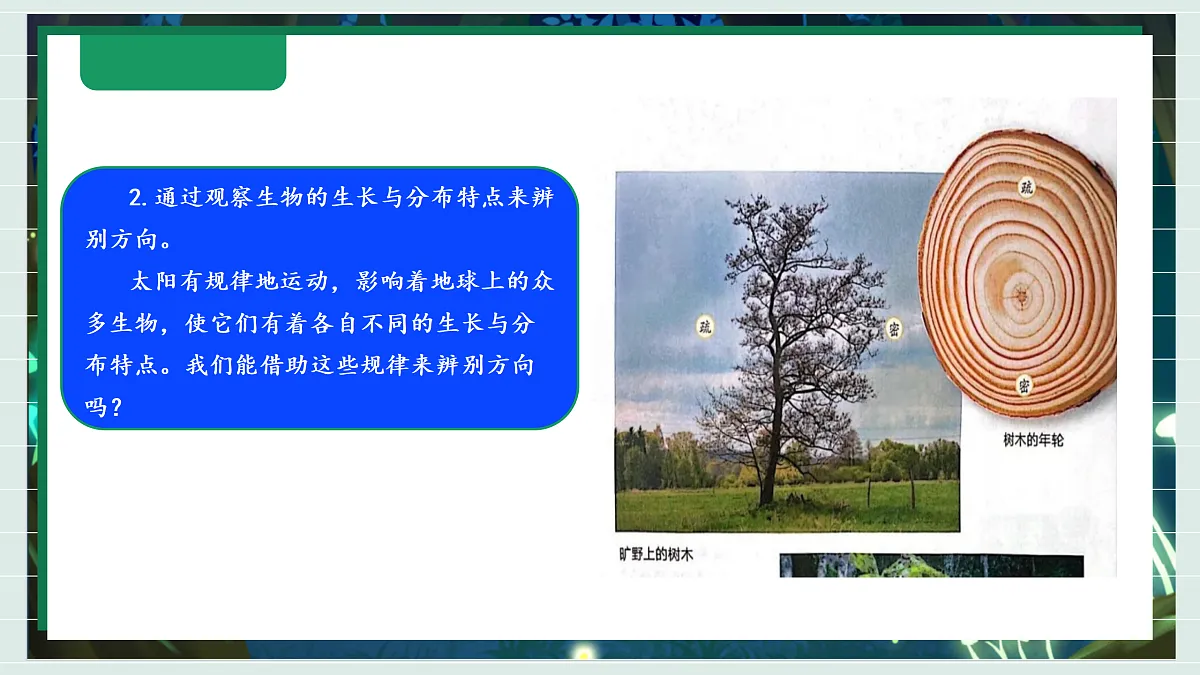 1.2《利用自然物精准辨别方向》教学课件科学教科版三年级下册(新教材)第7页