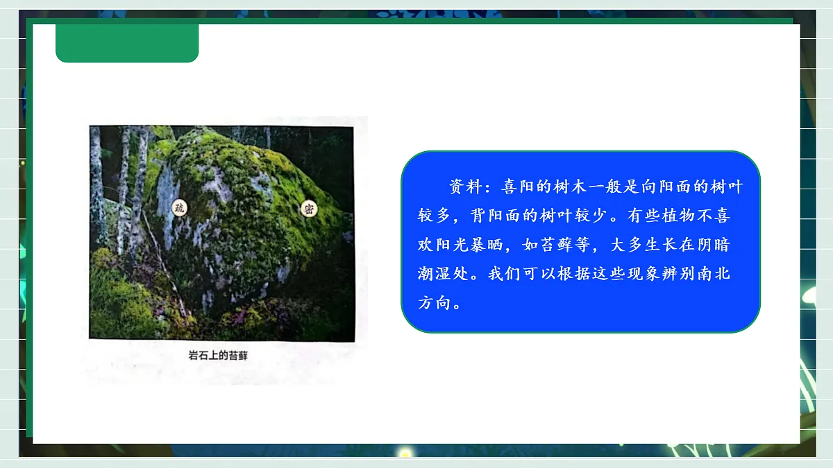 1.2《利用自然物精准辨别方向》教学课件科学教科版三年级下册(新教材)第8页