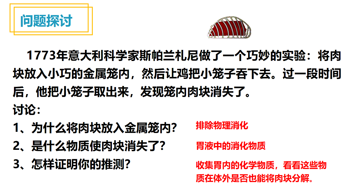 18029534第3页