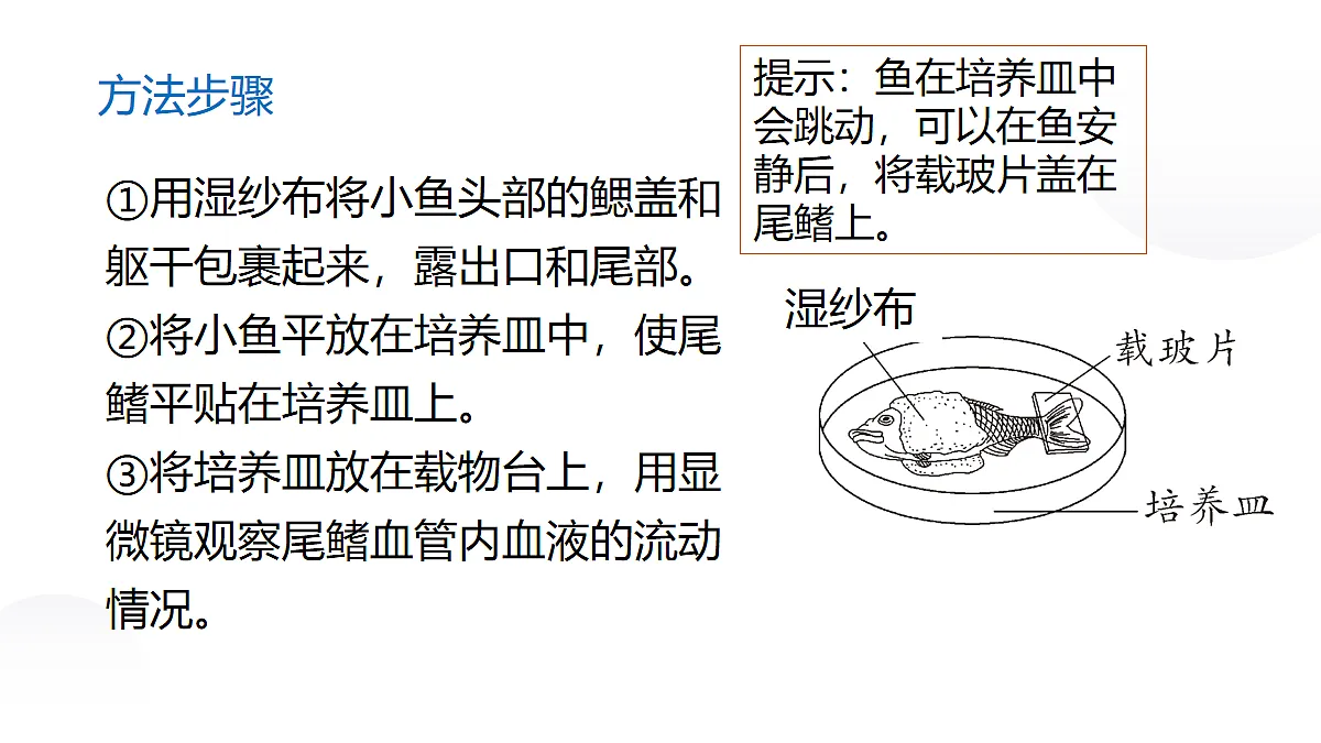 18031862第5页