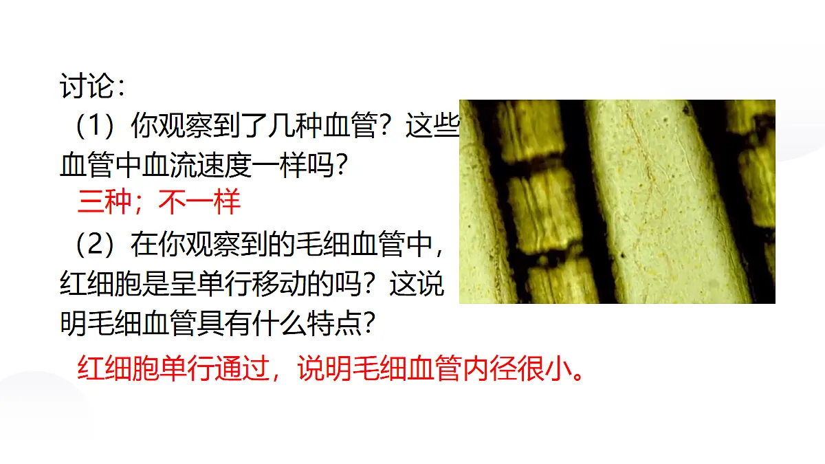 18031862第7页