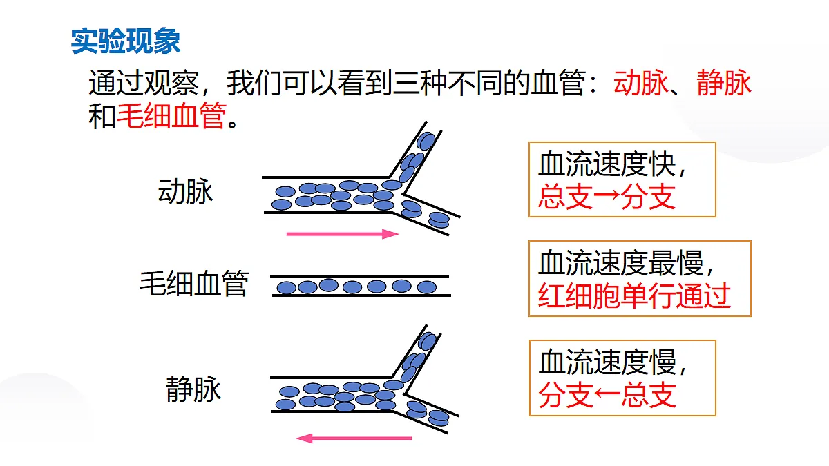 18031862第8页