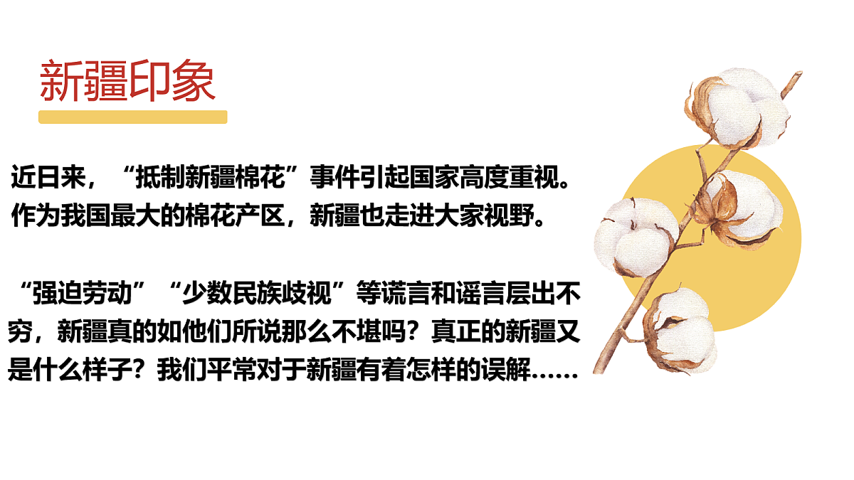 18033069第3页