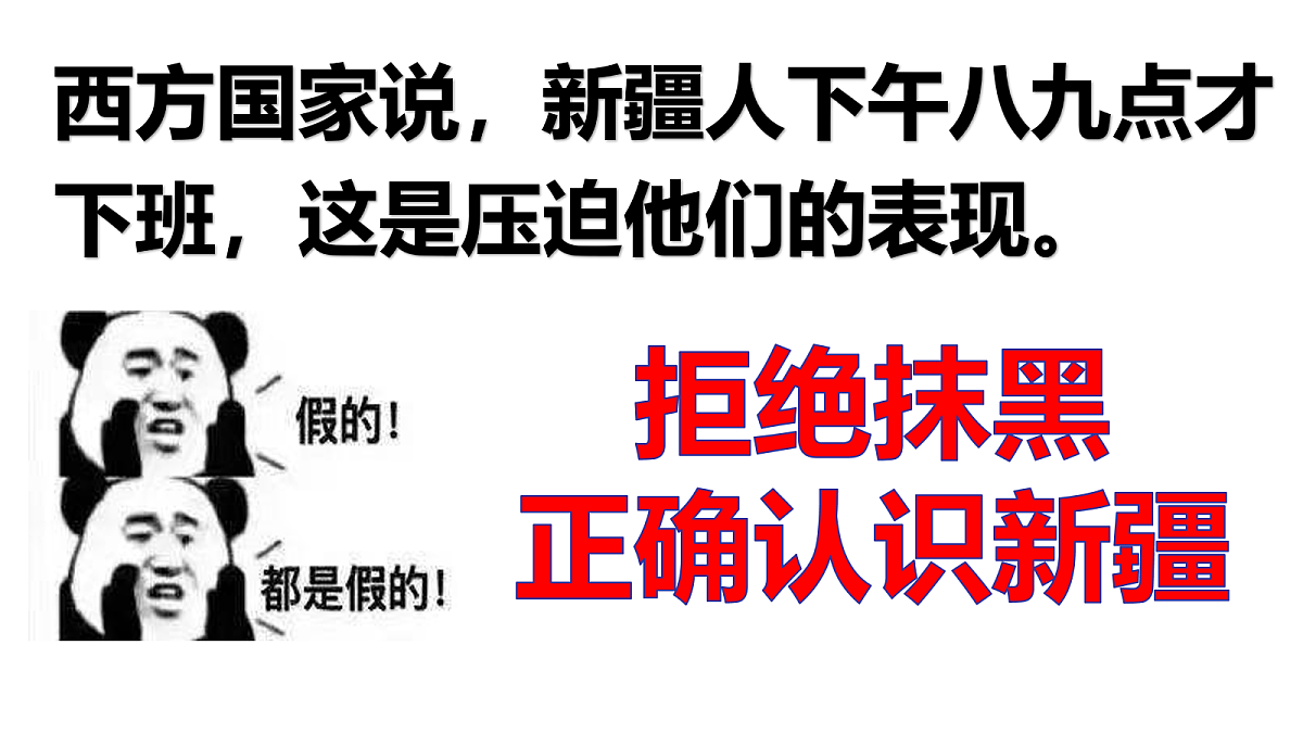 18033069第4页
