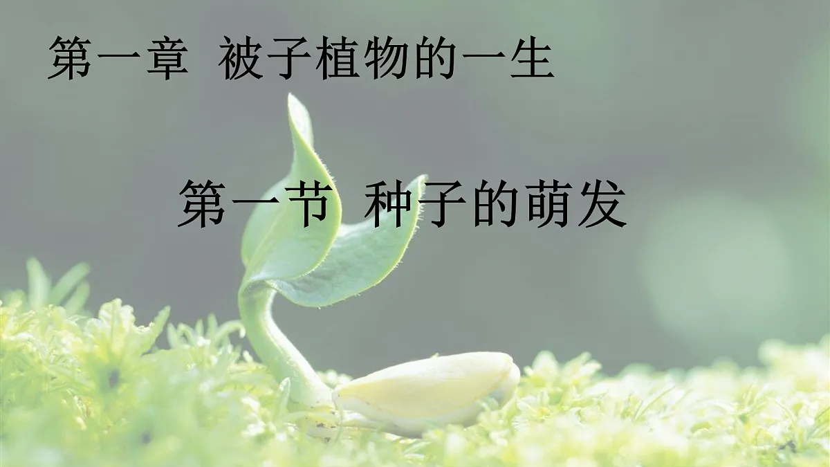18033180第1页