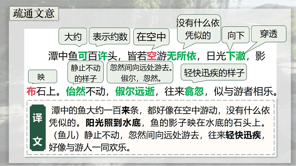 18037173第8页